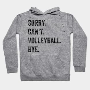 Sorry. Can't. Volleyball. Bye. Retro Vintage Text Premium Hoodie